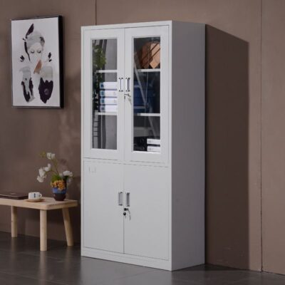 2 Door Metallic Cabinet