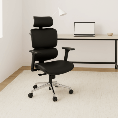 Modern Ergonomic Lumbar Support office chair